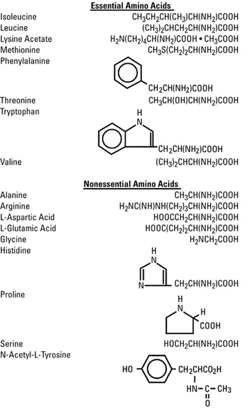 structural formula amino acids