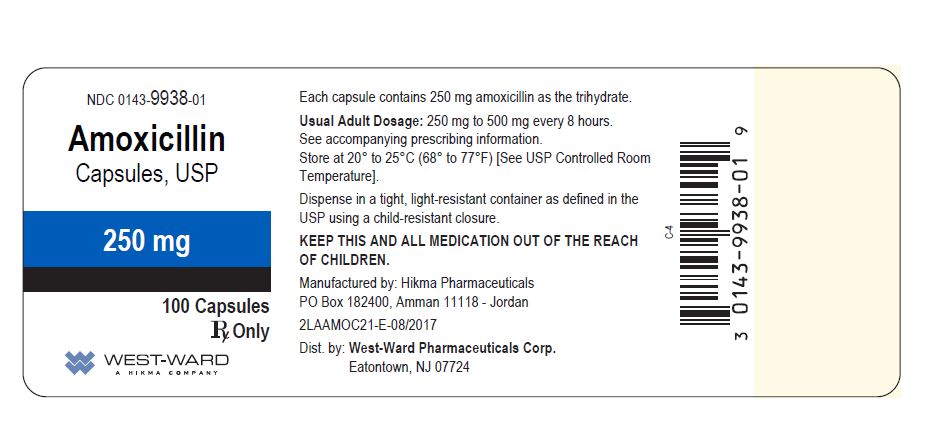 PRINCIPAL DISPLAY PANEL Amoxicillin Capsules, USP 250 mg/100 Capsules NDC 0143-9938-01