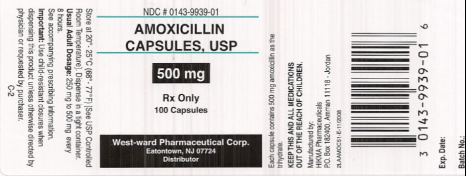 Amoxicillin Capsules, USP 500 mg/100 Capsules