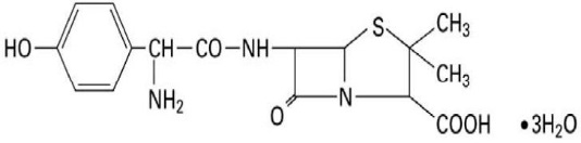 Amoxicillin structure