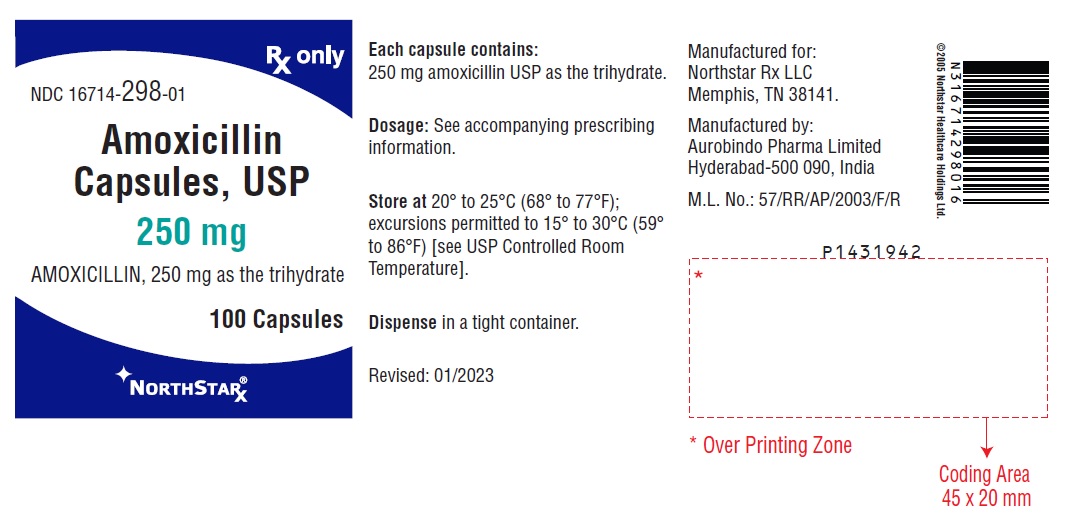 PACKAGE LABEL-PRINCIPAL DISPLAY PANEL - 250 mg (100 Capsules Bottle)