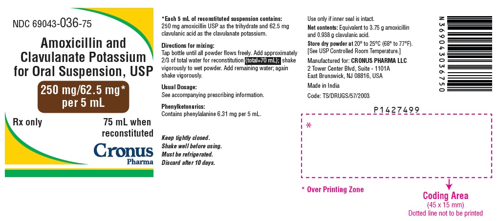PACKAGE LABEL-PRINCIPAL DISPLAY PANEL - 250 mg/62.5 mg per 5 mL (75 mL Bottle Label)