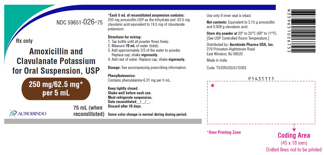 PACKAGE LABEL-PRINCIPAL DISPLAY PANEL - 250 mg/62.5 mg per 5 mL (75 mL Bottle Label)