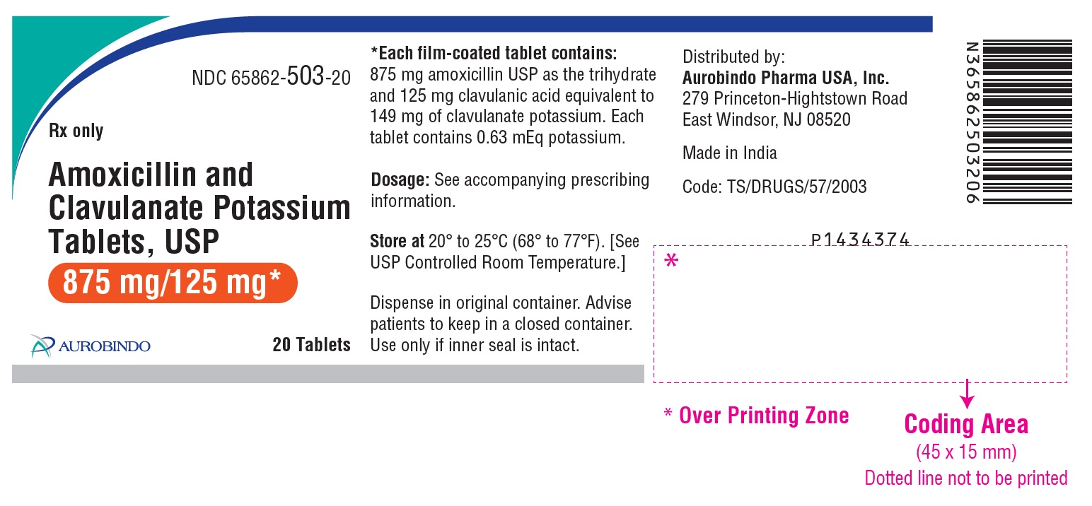 PACKAGE LABEL-PRINCIPAL DISPLAY PANEL - 875 mg/125 mg (20 Tablets Bottle)
