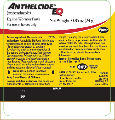 PRINCIPAL DISPLAY PANEL - 24 g Syringe Label