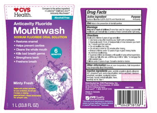 PRINCIPAL DISPLAY PANEL
Anticavity Fluoride
Mouthwash
Sodium Fluoride Oral Solution
Minty Fresh
1 L (33.8 FL OZ) 
