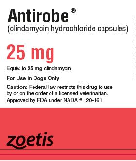 Antirobe Capsules 25 mg label