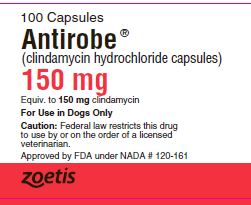 Antirobe Capsules 150 mg Label