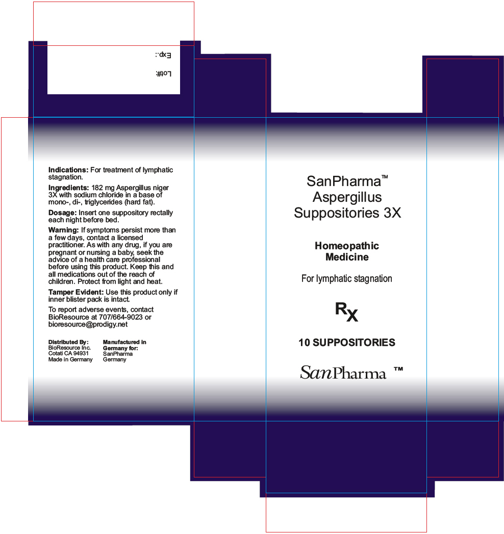 PRINCIPAL DISPLAY PANEL - 10 Suppository Blister Pack Box