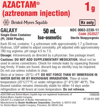Azactam Injection 1 g Bag
