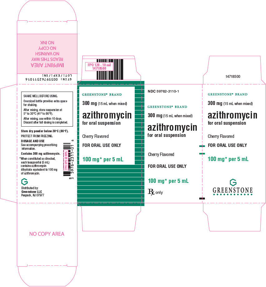 PRINCIPAL DISPLAY PANEL - 300 mg Bottle Carton