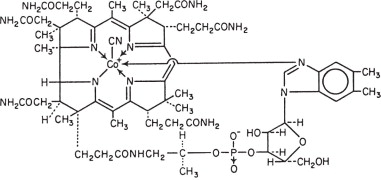 Cyanocobalamin Structural Formula