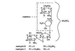 Neomycin Structure