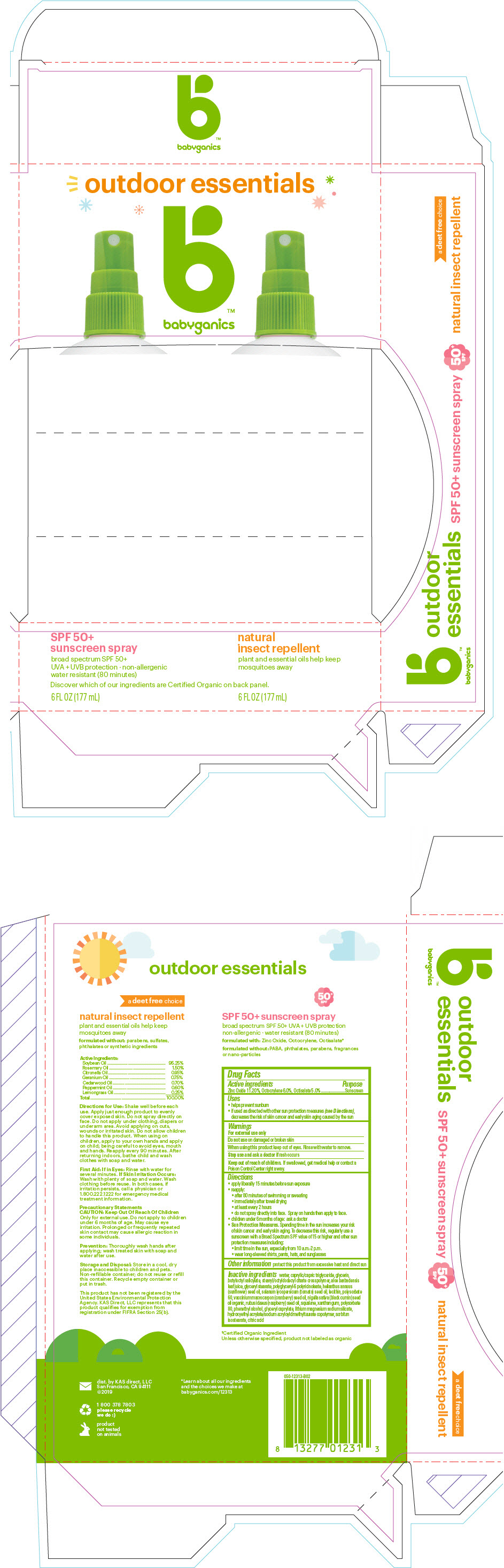 PRINCIPAL DISPLAY PANEL - Kit Carton