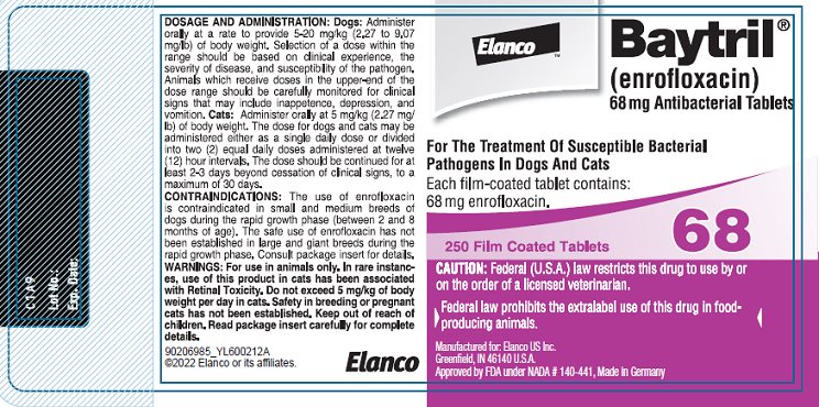 Principal Display Panel - 68 mg 250 Film Coated Tablets Bottle Label