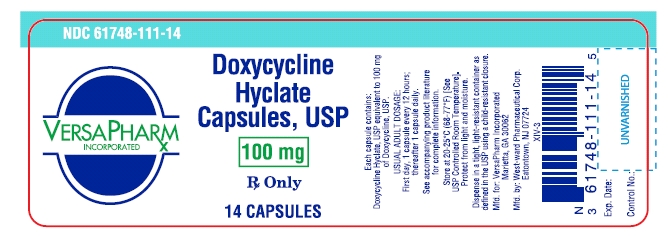 PRINCIPAL DISPLAY PANEL - 100 mg 14 Capsules Bottle Label