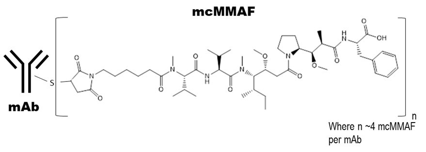 Belantamab mafodotin-blmf chemical structure