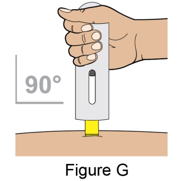 Figure G