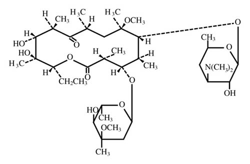 化学结构对克拉霉素