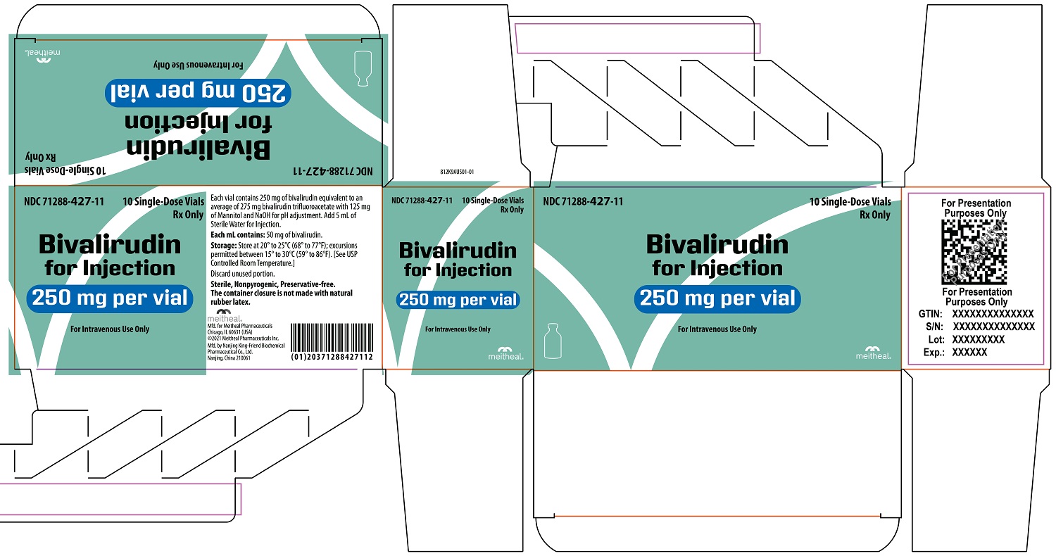 Principal Display Panel – Bivalirudin for Injection 250 mg Carton
