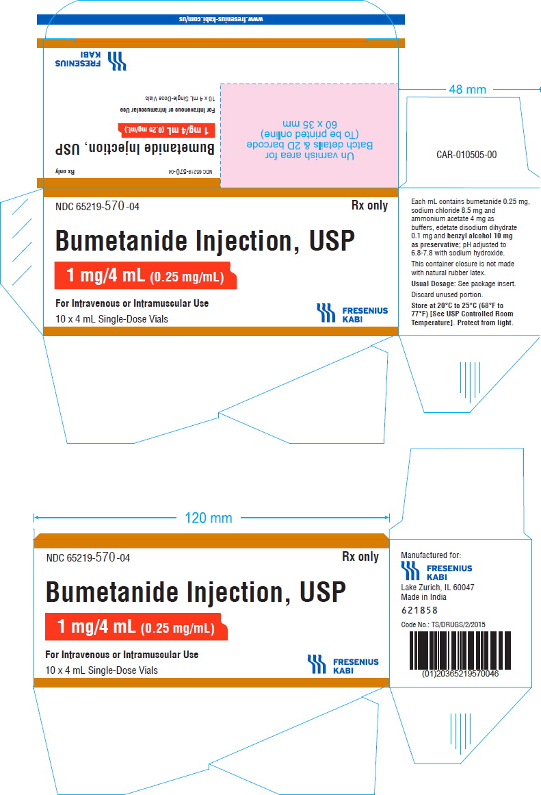 Principal Display Panel – Bumetanide 1 mg/4 mL Shelf Carton
