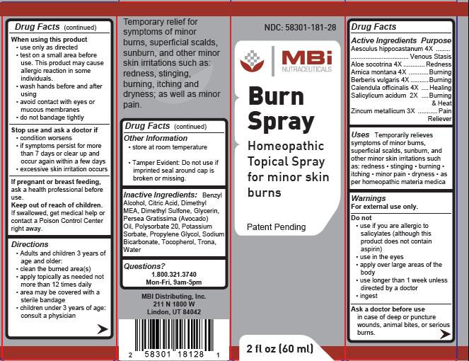 Burn Spray Carton