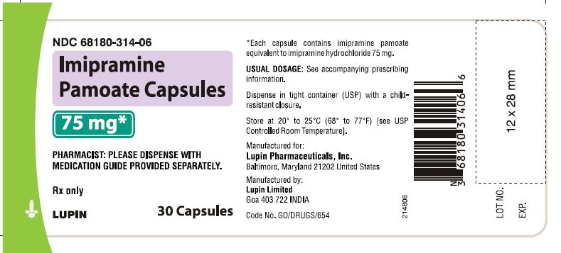 Imipramine Pamoate Capsules
75 mg - Bottle of 30s
							NDC 68180-314-06       bottles of 30