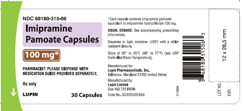 Imipramine Pamoate Capsules
100 mg - Bottle of 30s
							NDC 68180-315-06        bottles of 30