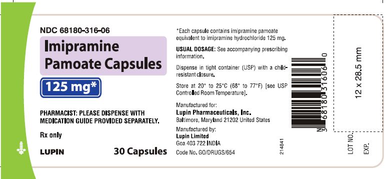 Imipramine Pamoate Capsules
125 mg - Bottle of 30s
							NDC 68180-316-06       bottles of 30