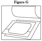 Medication Guide Figure G
