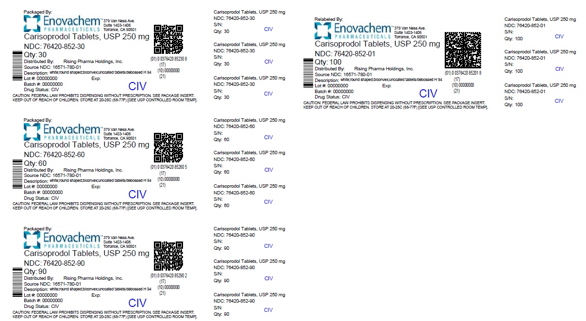 PACKAGE LABEL-PRINCIPAL DISPLAY PANEL - 250 mg (100 Tablet Bottle)