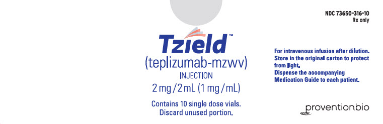 Image of Carton - Principal Panel - 10 count - 2 mg/2 mL Single-use Vial