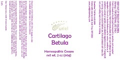 Cartilago Betula Cream