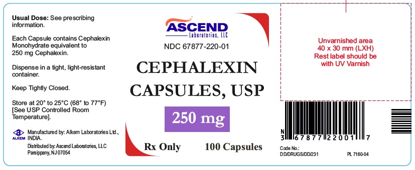 cephalexin-250mg-100cap