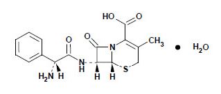 Cephalexin-OS-Structural-formula