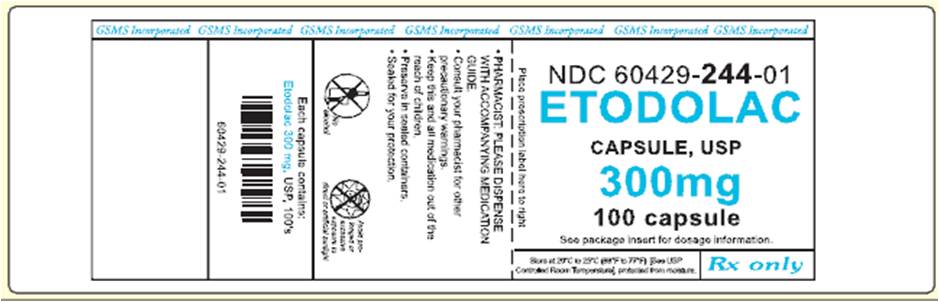 Label Graphic - 300 mg Caps
