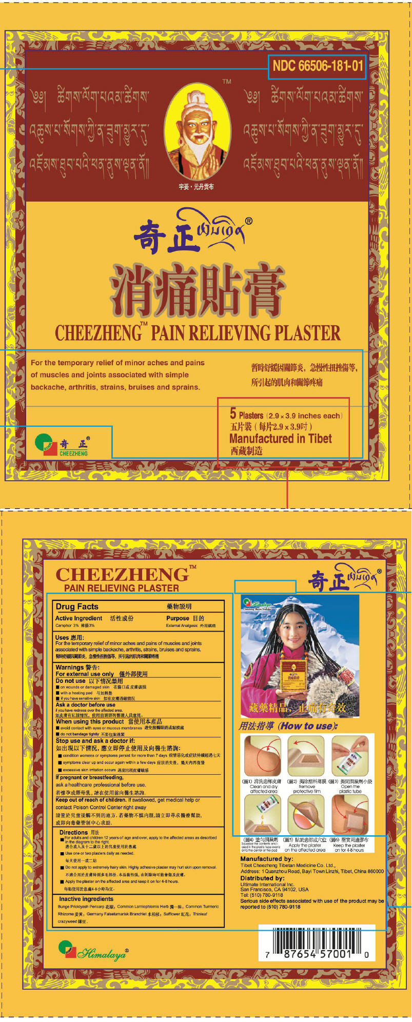 Cheezheng Pain Relieving | Camphor (natural) Patch while Breastfeeding