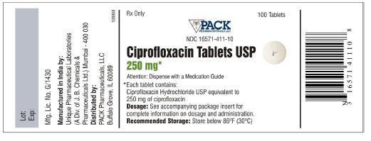PACKAGE LABEL-PRINCIPAL DISPLAY PANEL - 250 mg (100 Tablet Bottle)