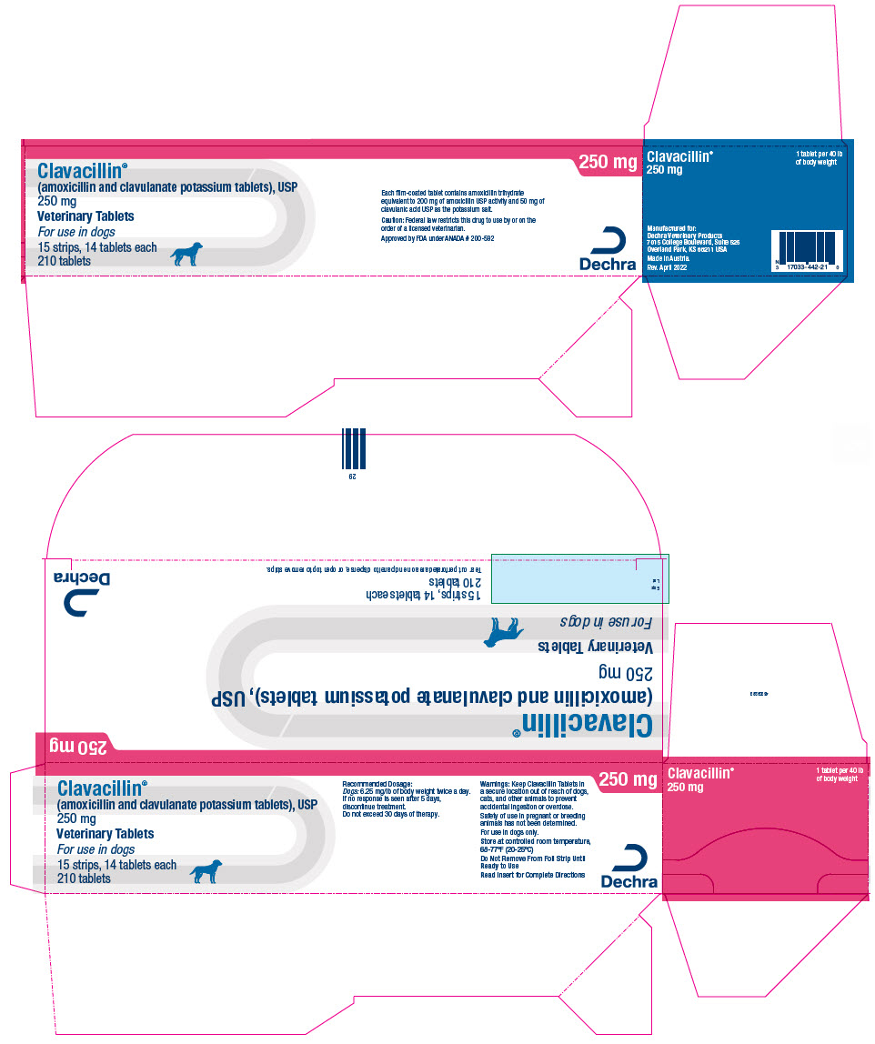 PRINCIPAL DISPLAY PANEL - 250 mg Tablet Blister Pack Carton