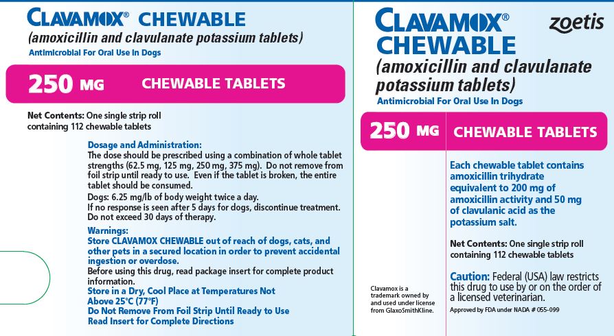 250 mg Tablet Carton