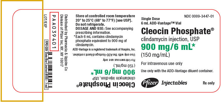 Principal Display Panel - 900 mg/6 mL Vial Label