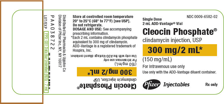PRINCIPAL DISPLAY PANEL - 300 mg/2 mL ADD-vantage Vial Label