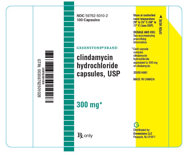 PRINCIPAL DISPLAY PANEL - 300 mg Capsule Bottle Label - 100 Capsule