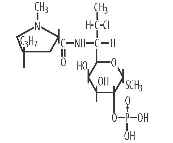 Structural formula for Clindamycin Phosphate