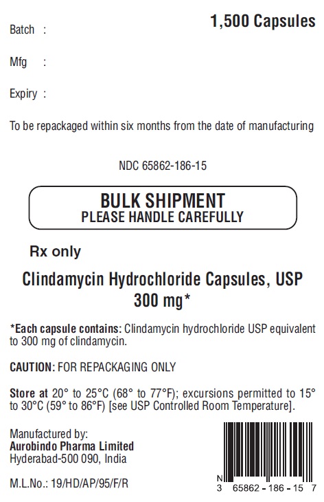 PACKAGE LABEL-PRINCIPAL DISPLAY PANEL - 300 mg Bulk Capsule Label