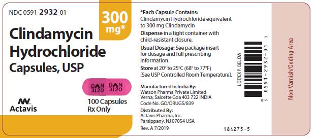 300 mg 100 capsules label