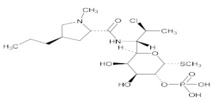 clinidamycin-structure