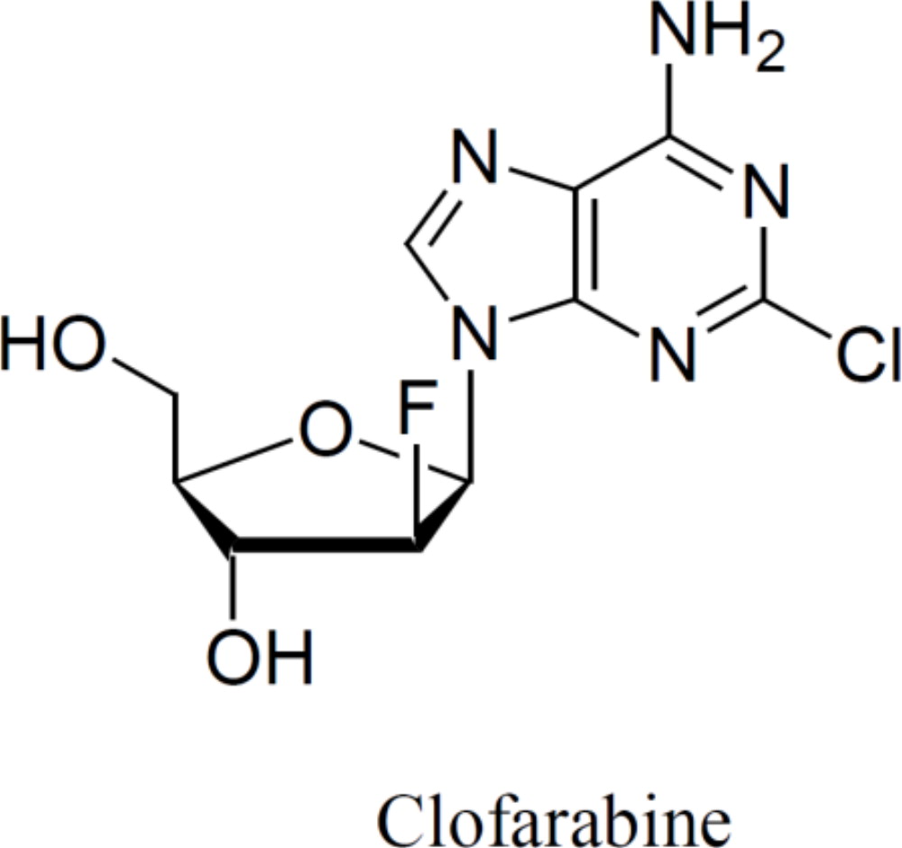 Molecular Structure of Clofarabine