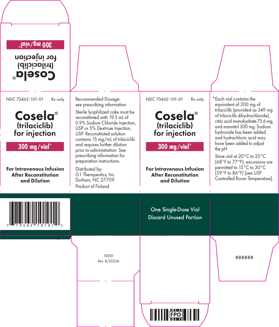 Principal Display Panel – 300 mg Carton Label
