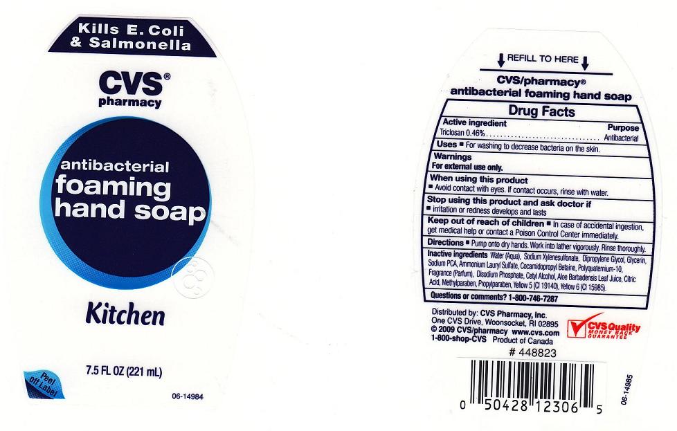Cvs Antibacterial Foaming Kitchen | Triclosan Soap Breastfeeding